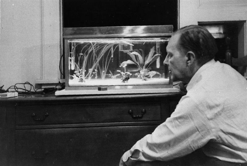 Kriitikaauhinna kandidaadid 2020