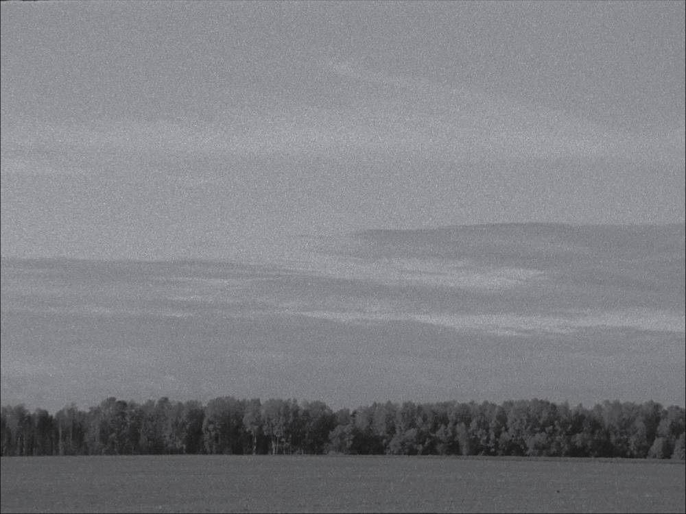 Taavi Talve näitus Tartu Kunstimajas