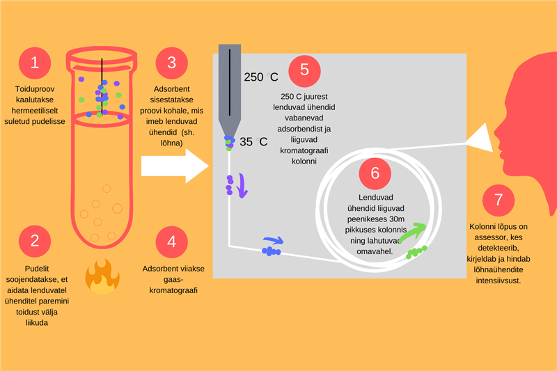 Lõhnamaailma ekspert