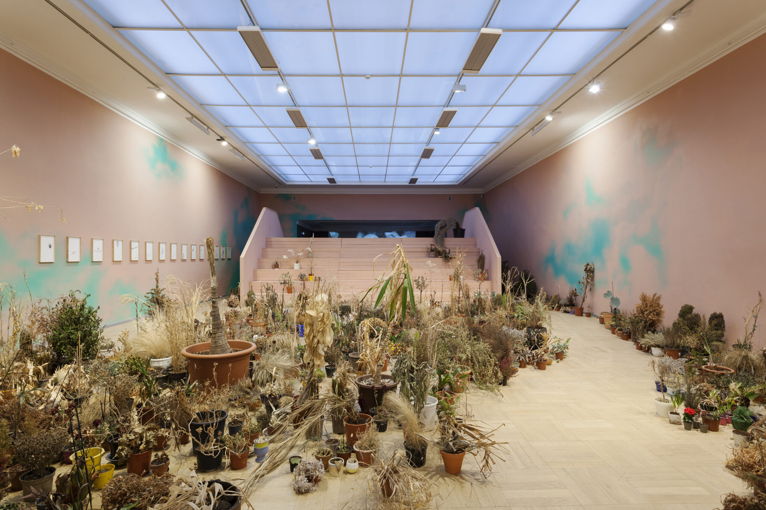 Vägivalla traditsioon ja traditsiooniline peremudel