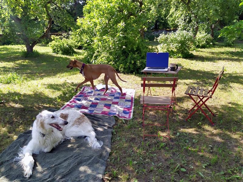 N&auml;dalavahetuse surm ja h&uuml;briidt&ouml;&ouml;