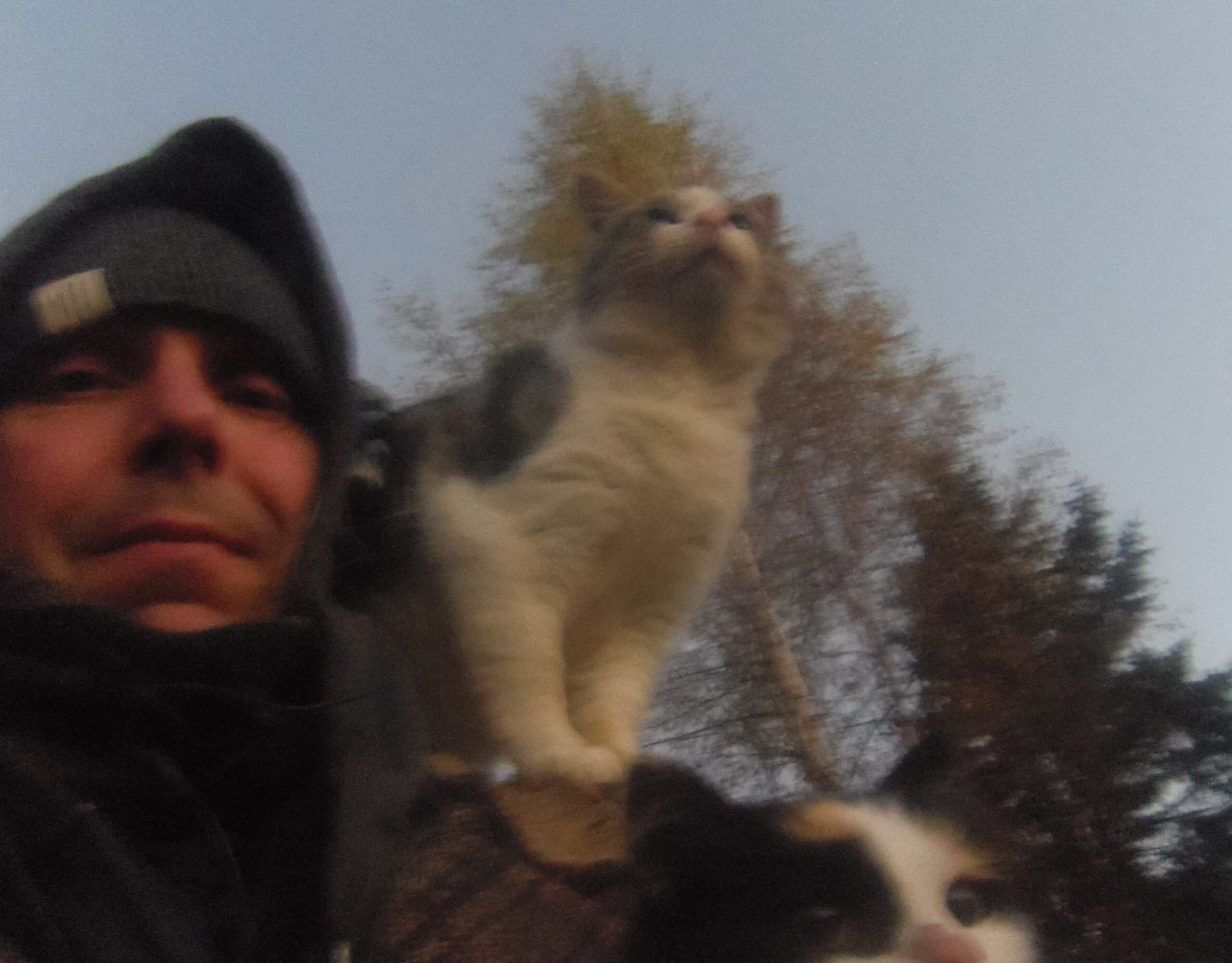 Usk, mida saab panna s&otilde;nadesse