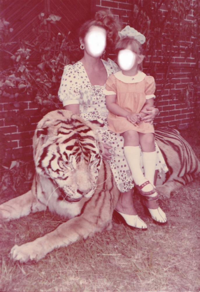 Salgamisharjutused üksildust ei ravi