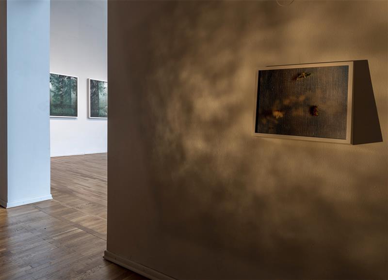 Astuge sisse, liuelge välja