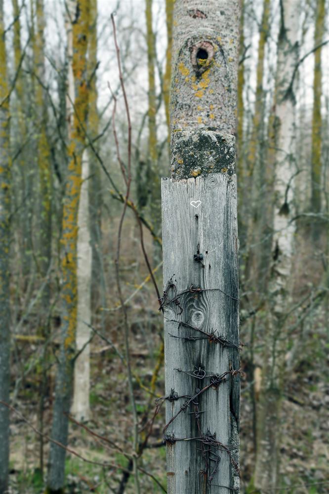 Keel vabaneb ahelaist