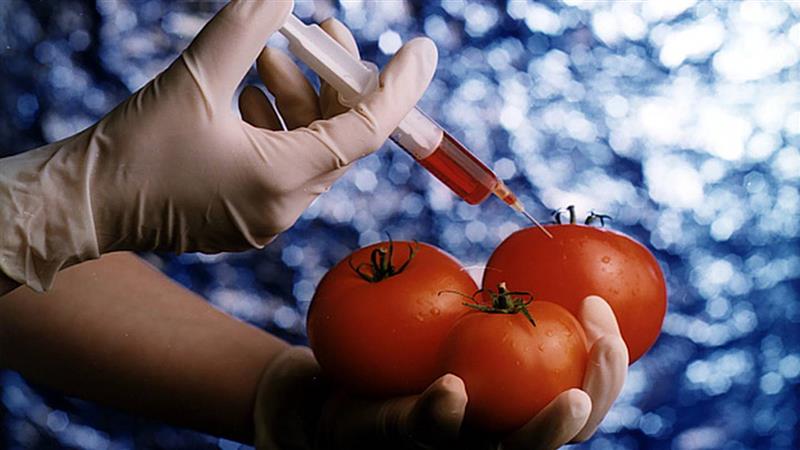 Igapäevaelu lisab teaduslikele teadmistele mõjukust