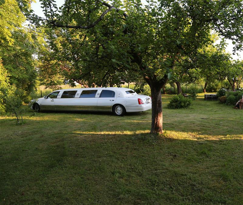 Milleks venitada, kui pääsu ei ole?