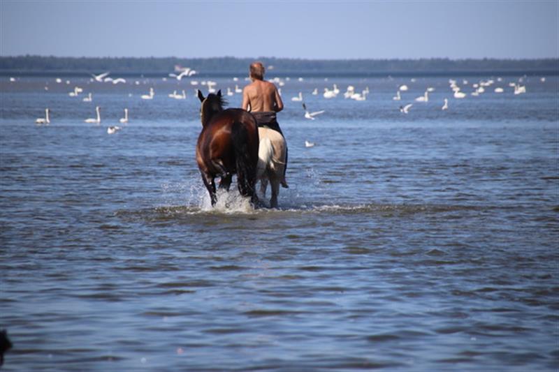 Unustatud vana vähemuse uus tulemine