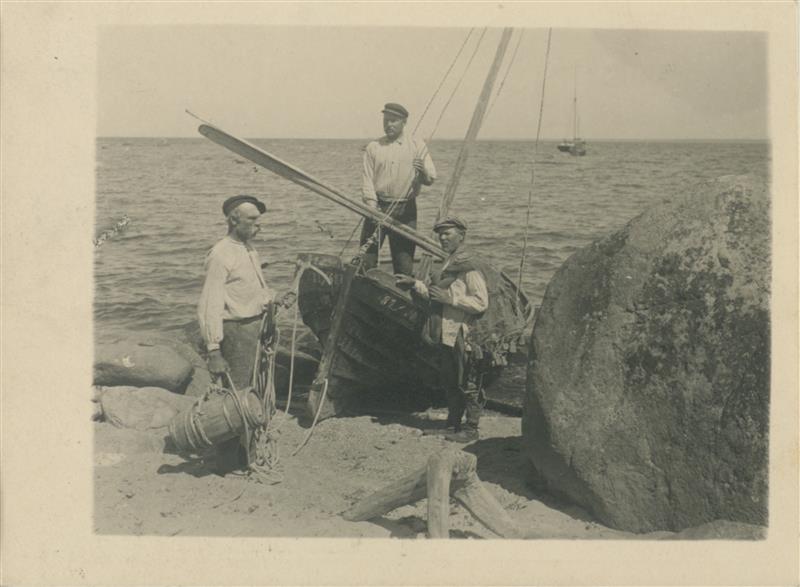 Hulivili idigas ja kaljulohe