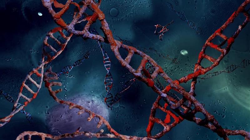 Mina, sina ja lind meie kannul