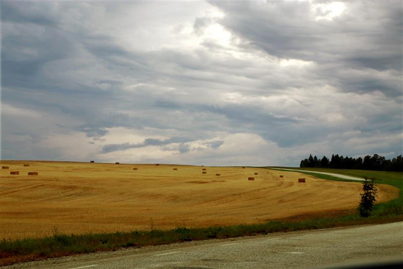 Ernst Enno ja suvised Lõuna-Eesti teed