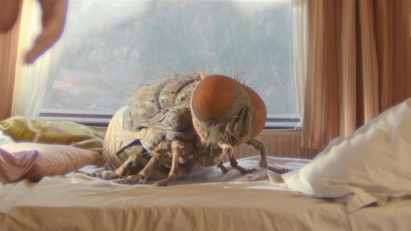 Hiiglaslik kärbes, muud suurt midagi