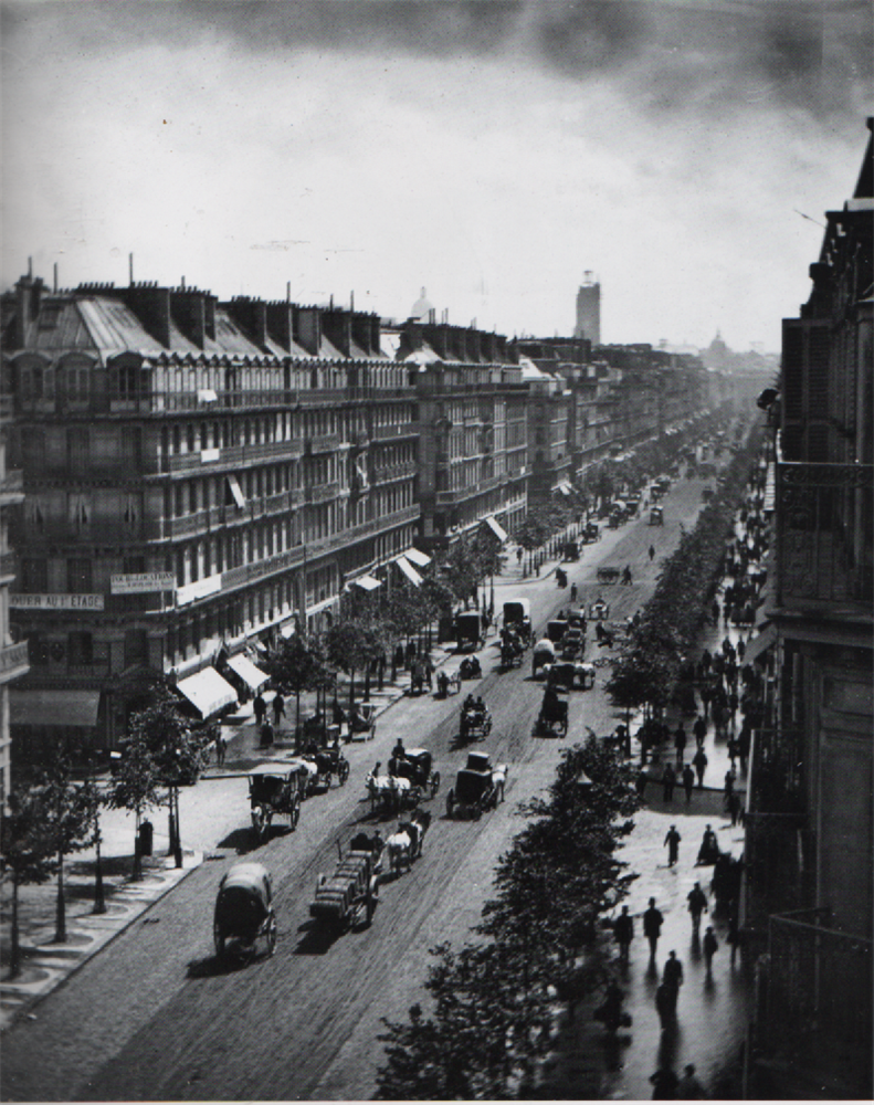 Arhitektuuri looduslugu