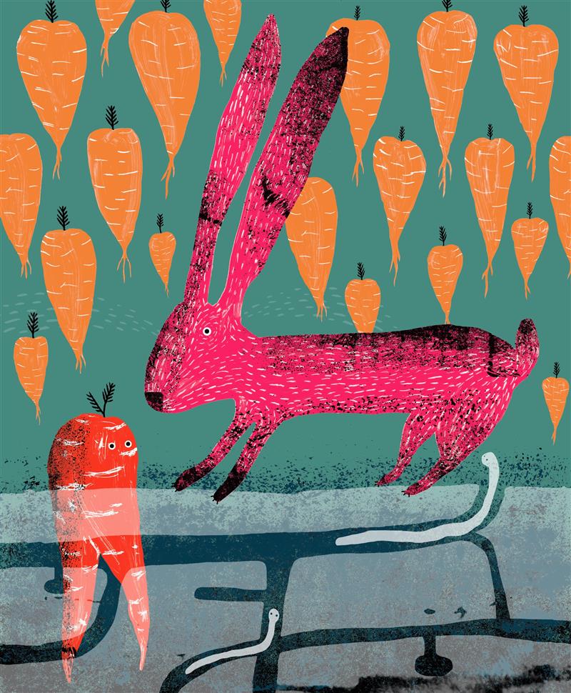 Piirideülesed pildiraamatud