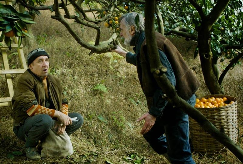 EFTA tormihoiatus ehk Kuidas päästa mädanema lastud mandariinid