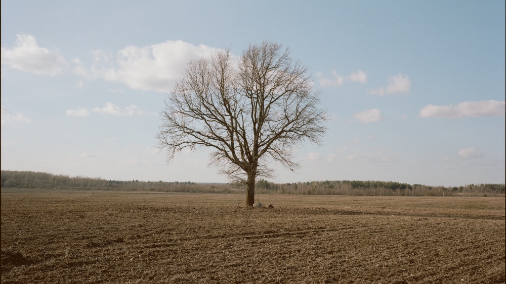 Tartu Kunstimajas avatakse „Näitus kui vestlus“