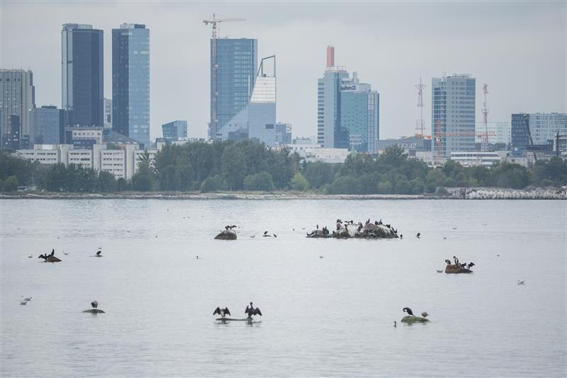 Tulevik tuleb Tallinnas ootamatult