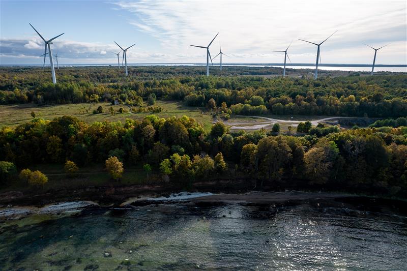 Kapitalism keerab k&uuml;lge