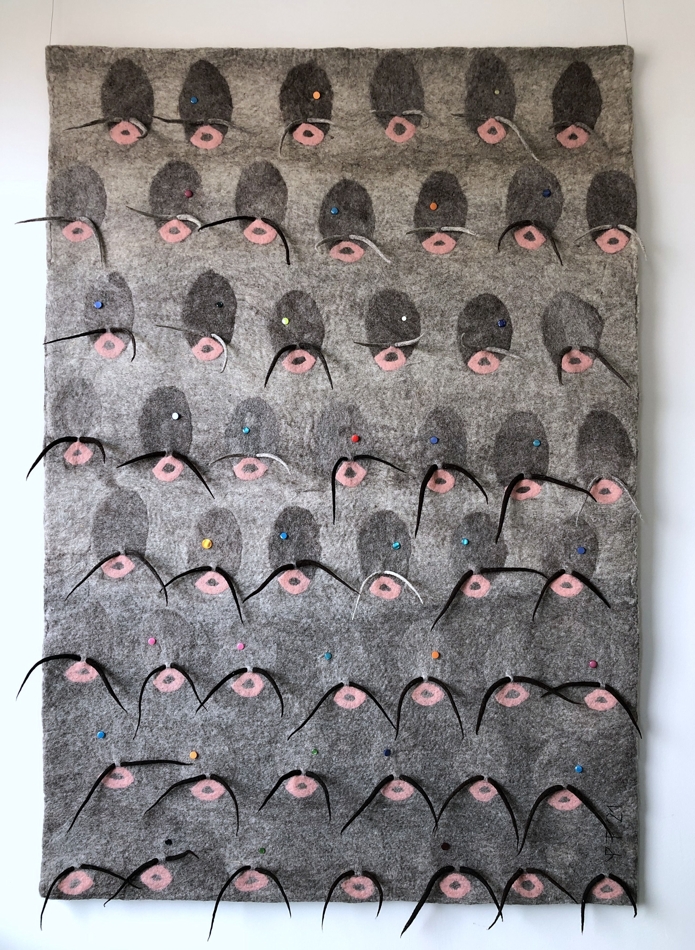 MIMIKRI. Eesti Tekstiilikunstnike Liidu aastanäitus ja tekstiilipreemiate laureaadid Uue Kunsti Muuseumis