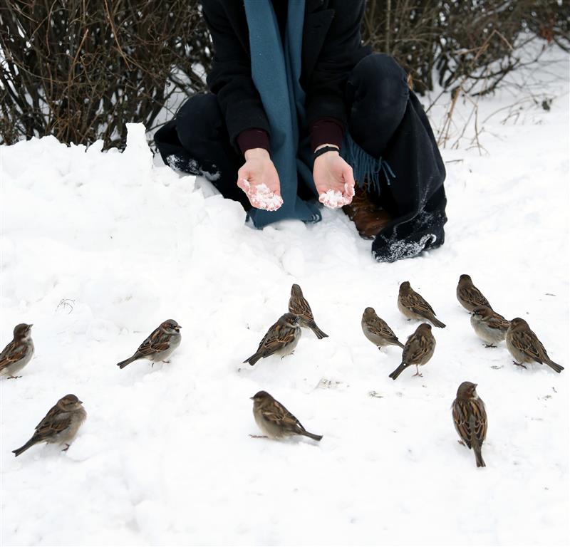 Lõputu töö ühe tabelipoolega