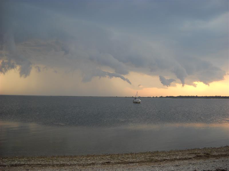 Tervendav, teisendav, keskikka triiviv tuul