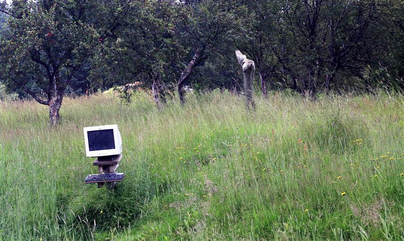 Enam odavamalt ei saa