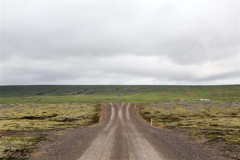 Argidialektika IV.   Meie. Omad