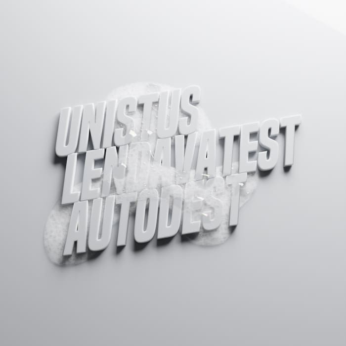 Liina Lelovi „Unistus lendavatest autodest“ A-galerii seifis