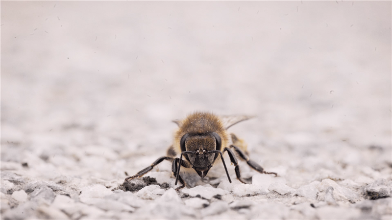 Armastusest koroona ajal