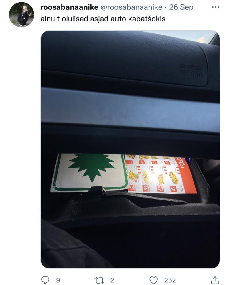 Sõnadest ei saa isu täis ehk  Elukestva emakeeleõppe kaitseks