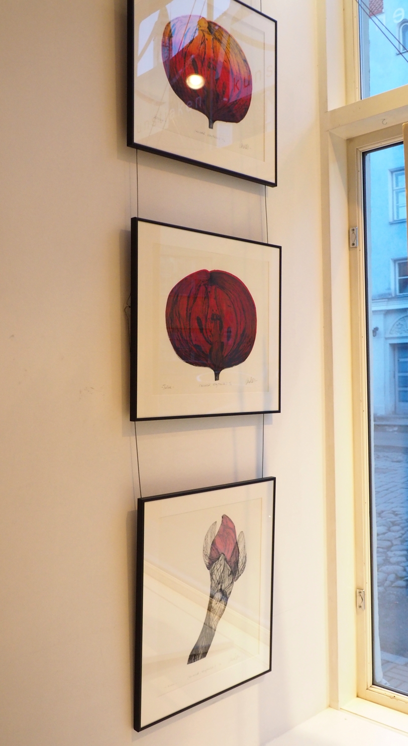 Näitus „8. märts“ on Kunstiaknal avatud 8. aprillini