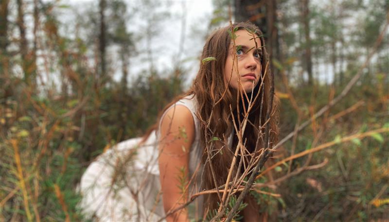 Lancelot ja Metskass