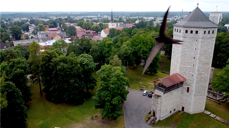 Tuttava linna tuled &ndash; Paide avaneb sammhaaval