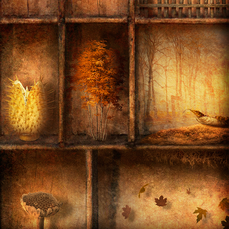 Marge Nelk Tartu Kunstimajas