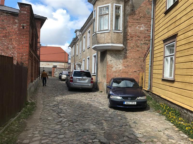 Tuttava linna tuled  &ndash; Viljandi olendid ja muud malendid