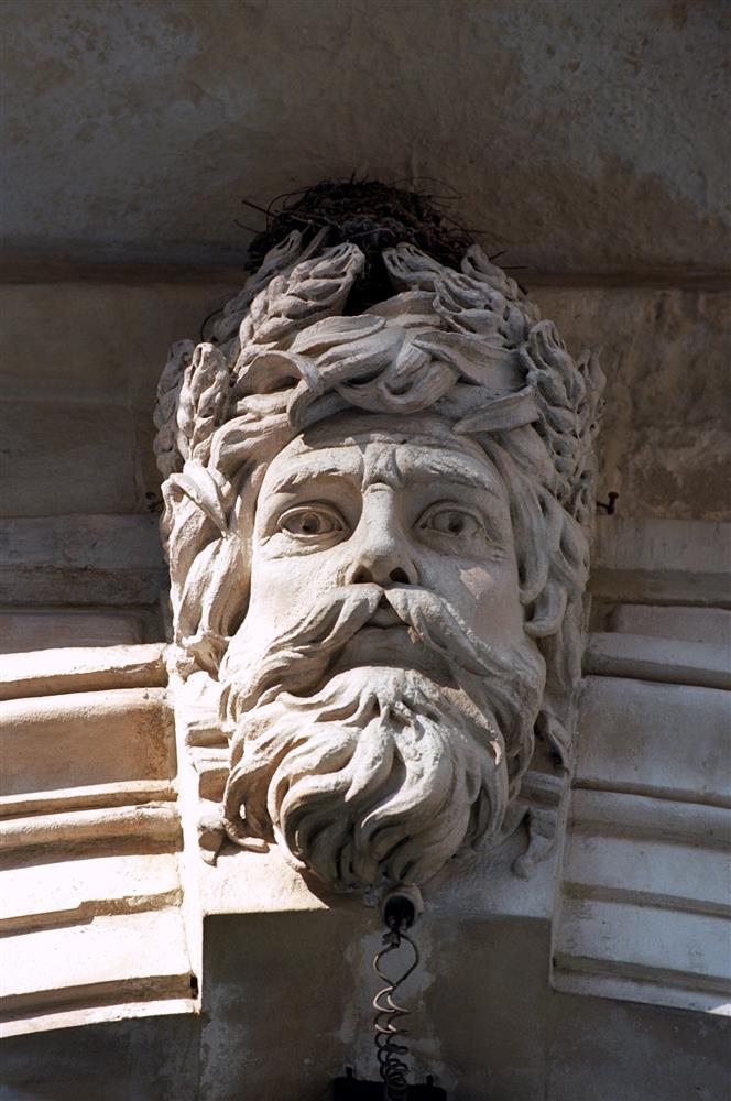 Mitte ainult inimestele ehitatud linnad