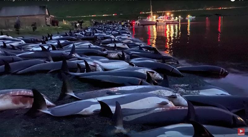 Looduse k&otilde;neisikud demokraatiaprotsessis