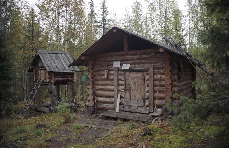 Komid ja arktiline animism