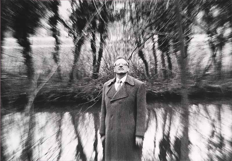 Mastipuu on langenud