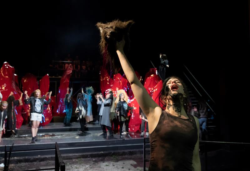 Mets&auml; kuldane kuningas