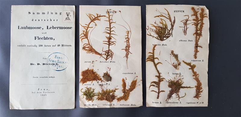 Loodusmuuseumi herbaarium-raamat