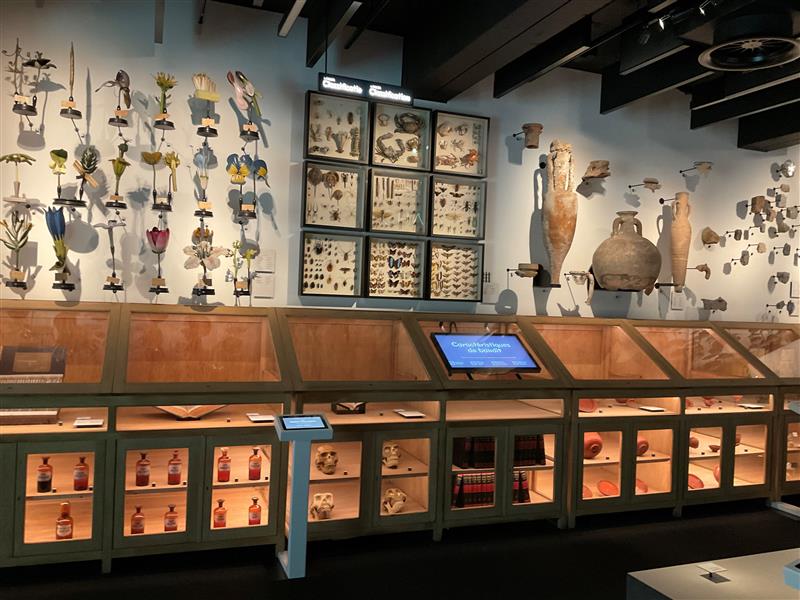 Ülikoolid, muuseumid ja kollektsioonid ehk Akadeemilise pärandi minevikuraskused ja vastutus