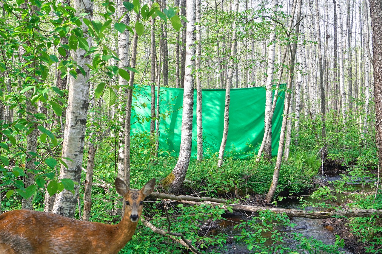 Täna avatakse EKKMis Taavi Suisalu isikunäitus “Tähelepanufiguurid”