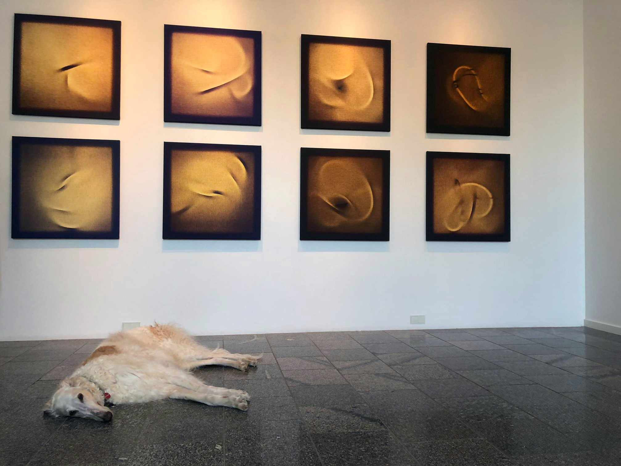 Piia Ruberi näitus “Vahe lähedus” Vabaduse galeriis