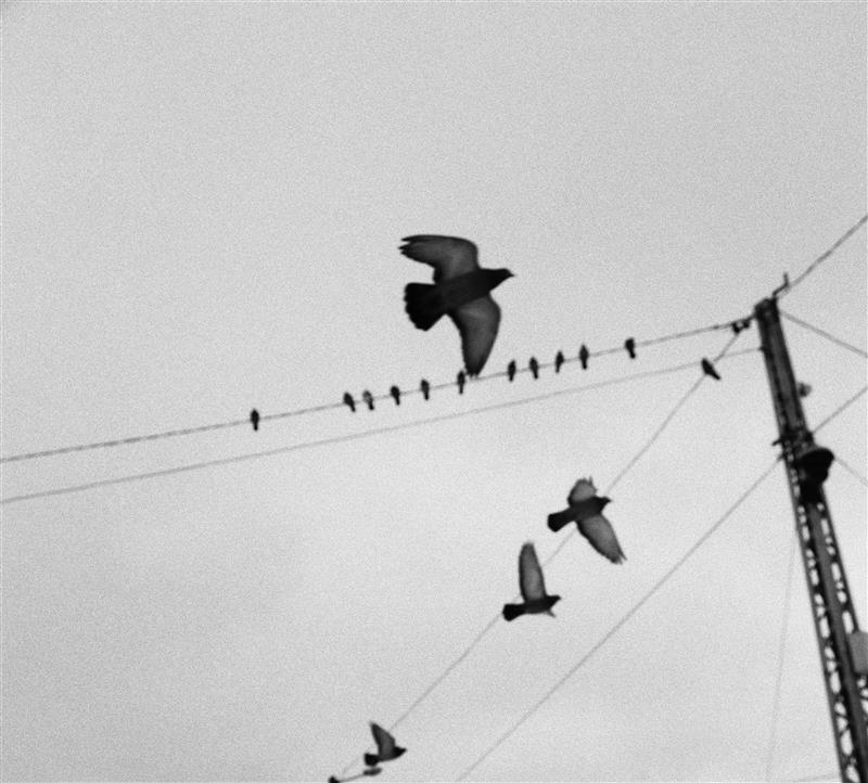 Odav vool tuleviku taskust