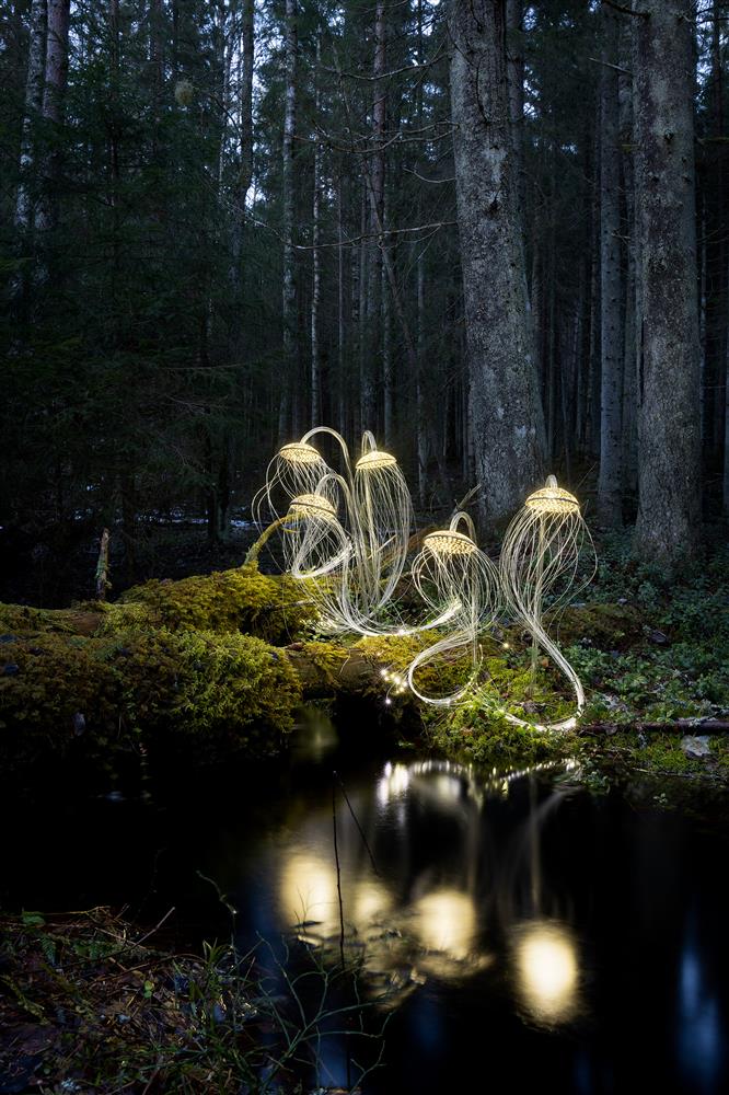 Elujanu universaalsusest