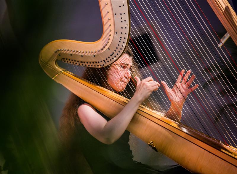 Ilus, kuid privilegeeritud