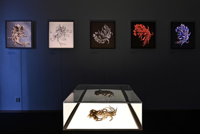 Surnud lille tasane hääl