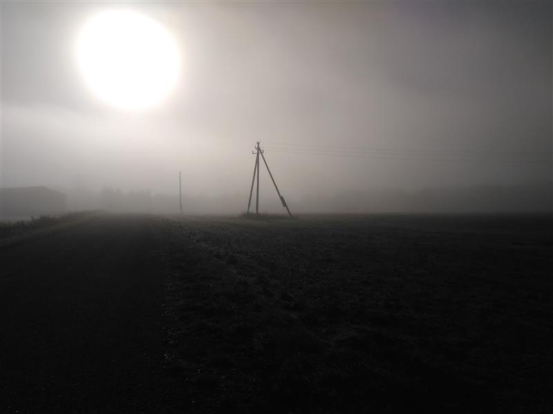 Mida surnud tahavad?