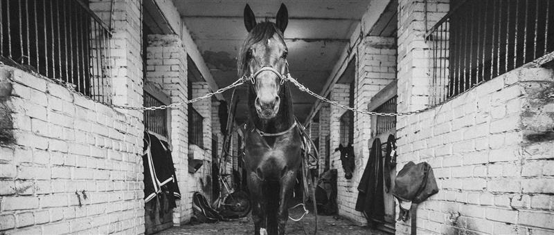 Inimene filmikaameraga